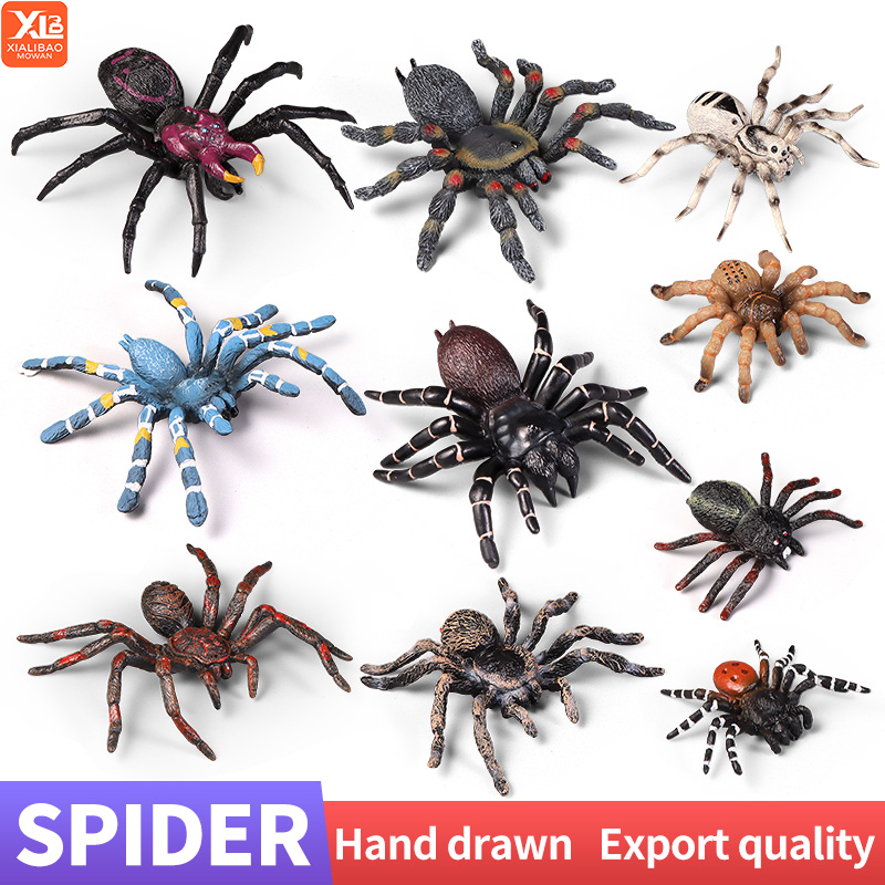 Kids Education Learn Tv - Educational Insect Spider Toys Zoo Action