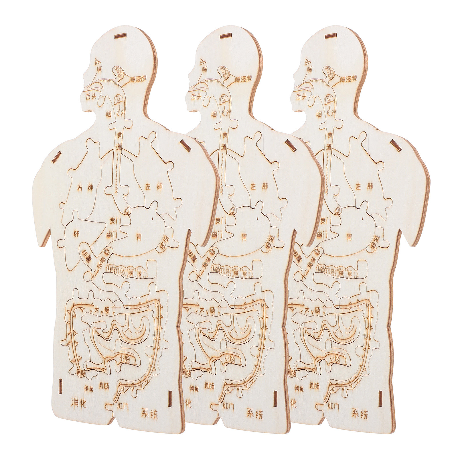 3Pcs Wooden Human Body Puzzle  - Kids Education System 评论和价格