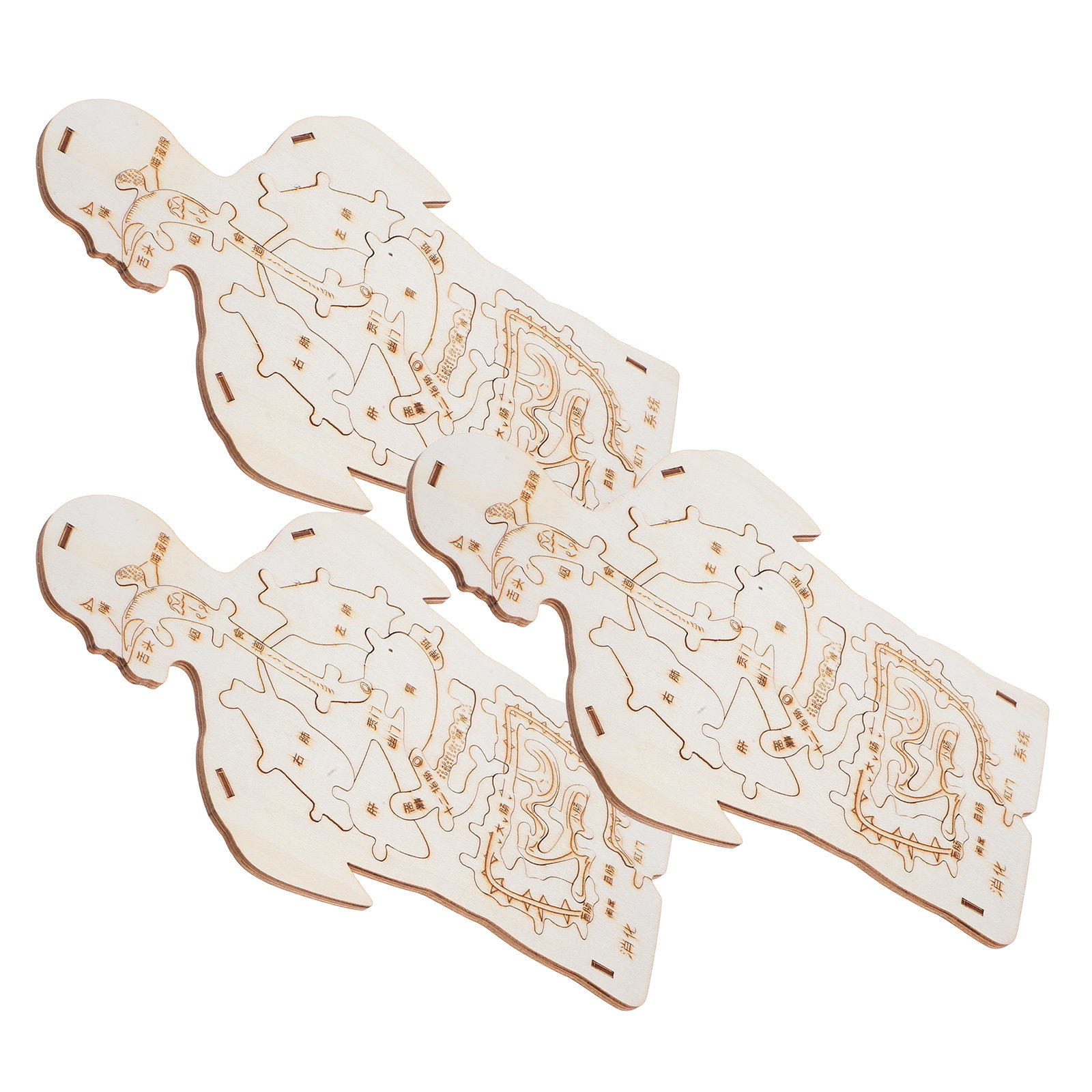 3Pcs Wooden Human Body Puzzle  - Kids Education System 评论和价格