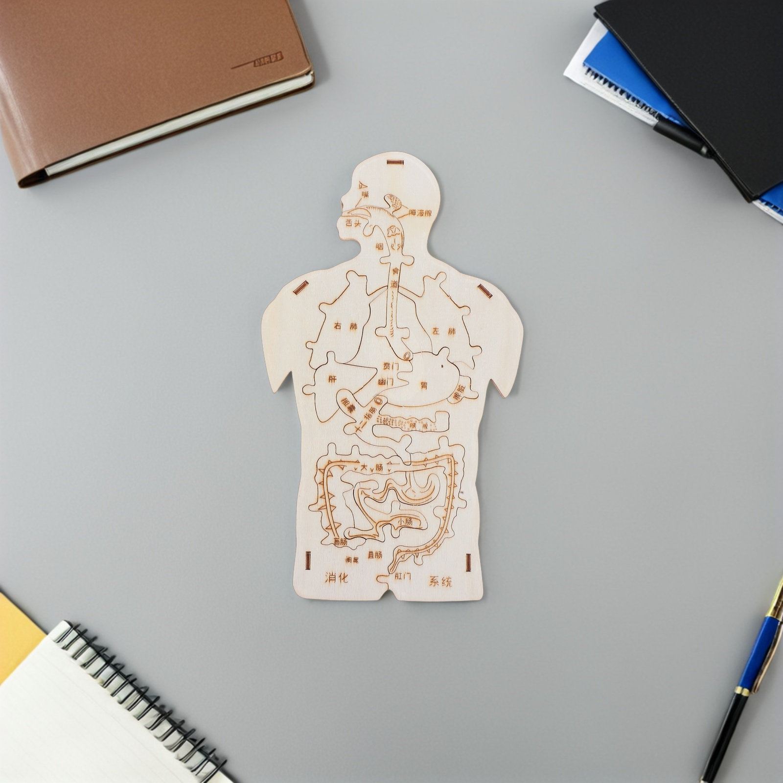 3Pcs Wooden Human Body Puzzle  - Kids Education System 评论和价格