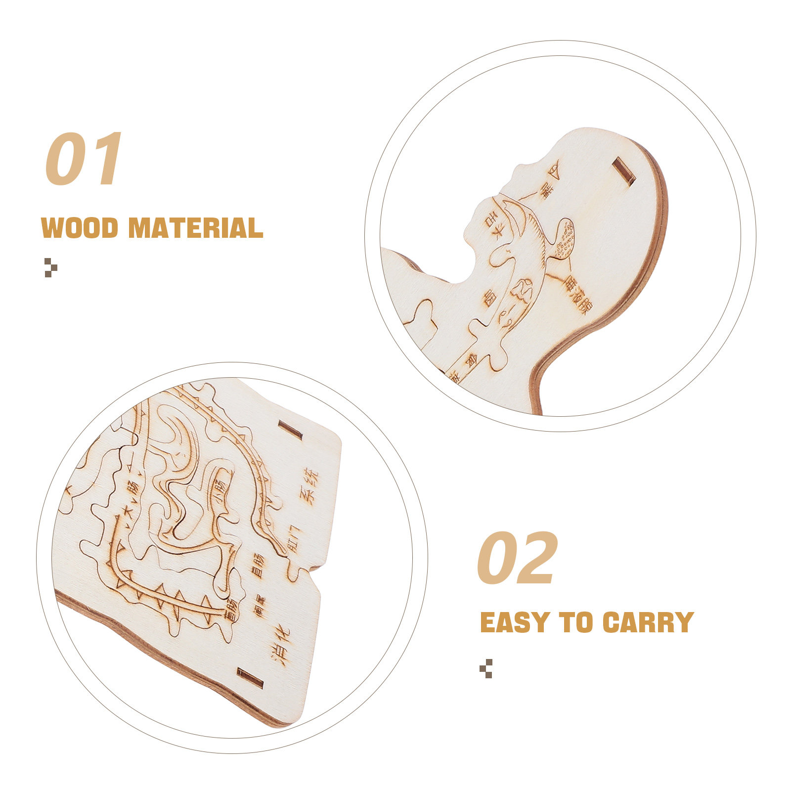 3Pcs Wooden Human Body Puzzle  - Kids Education System 评论和价格