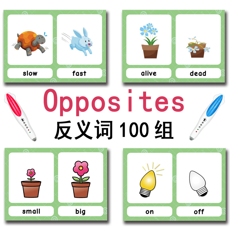 The 100 Groups Opposites Flash - Kid Educational 评论和价格