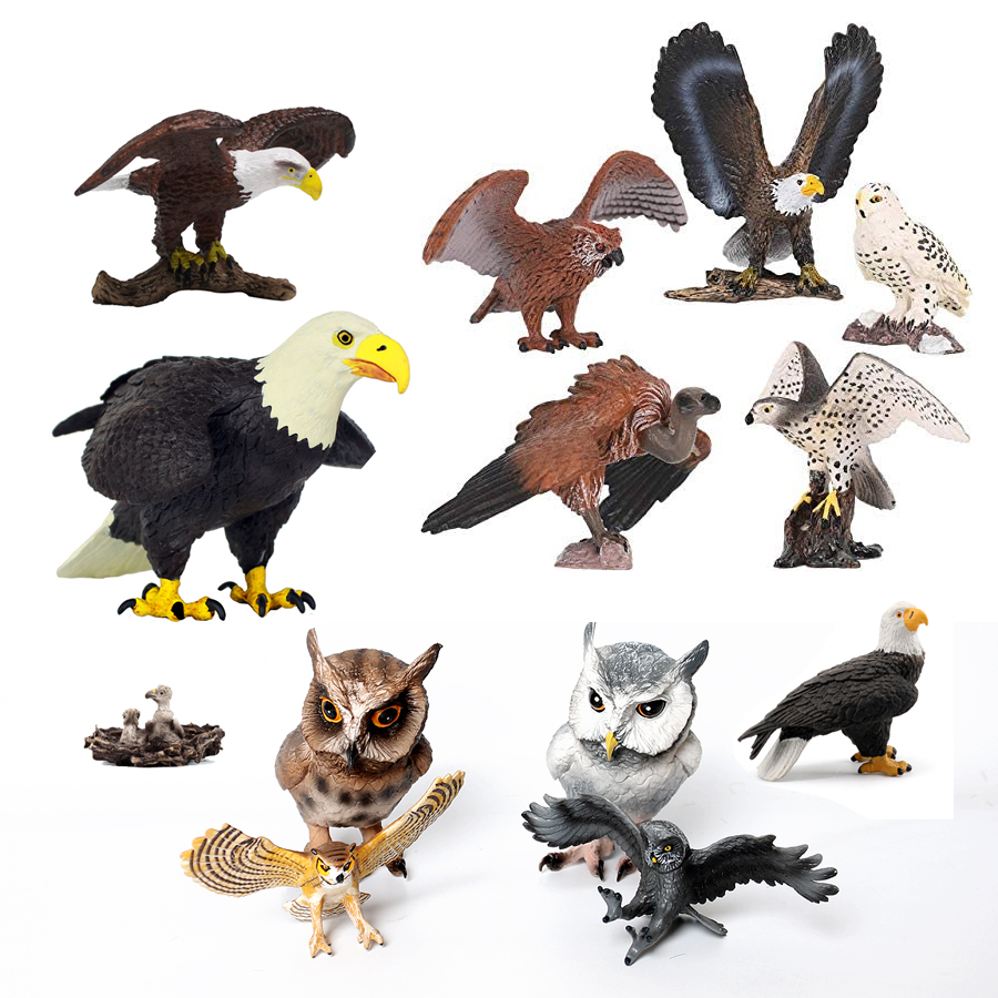 Realistic Plastic Birds of Pre - Kids Education Shows 评论和价格