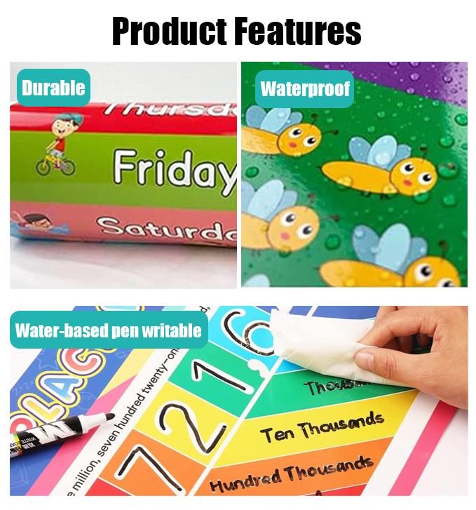 16 PCS Educational Posters for - Kids Educational Posters 评论和价格