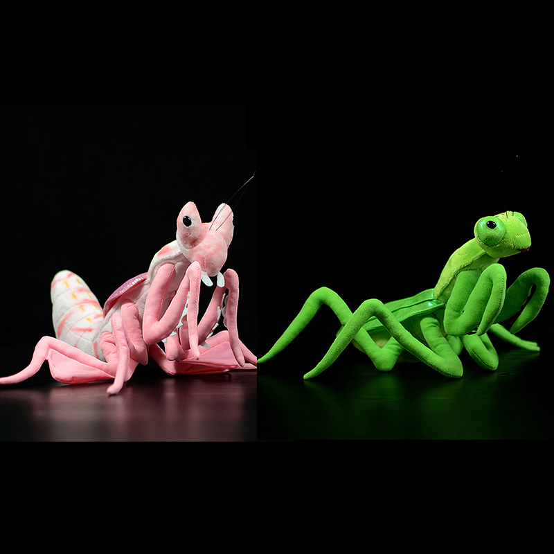 Cute Realistic Pink Orchid Man - Orchid Kids Education 评论和价格