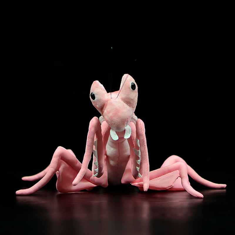 Cute Realistic Pink Orchid Man - Orchid Kids Education 评论和价格