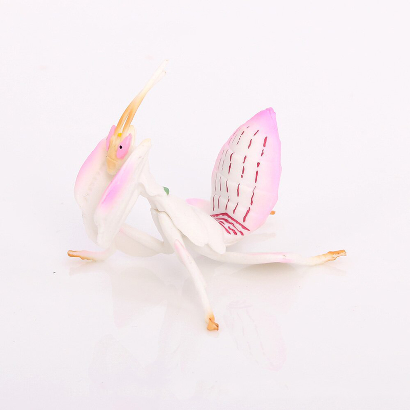 Realistic Animal Toy Model Pin - Orchid Kids Education 评论和价格