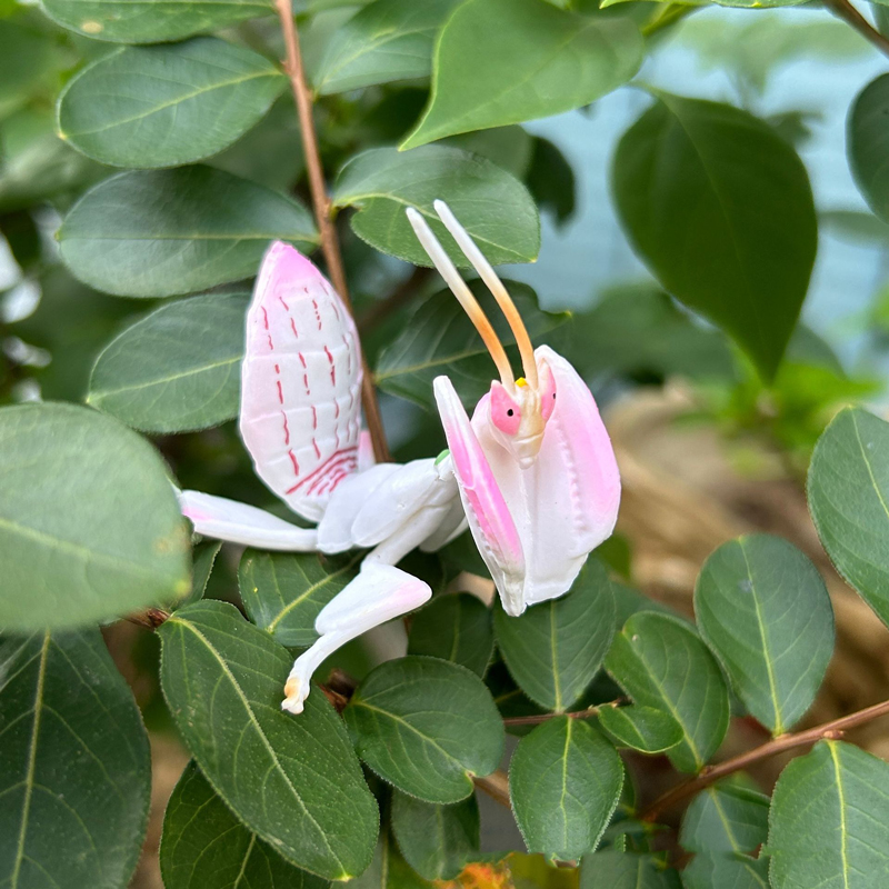 Realistic Animal Toy Model Pin - Orchid Kids Education 评论和价格