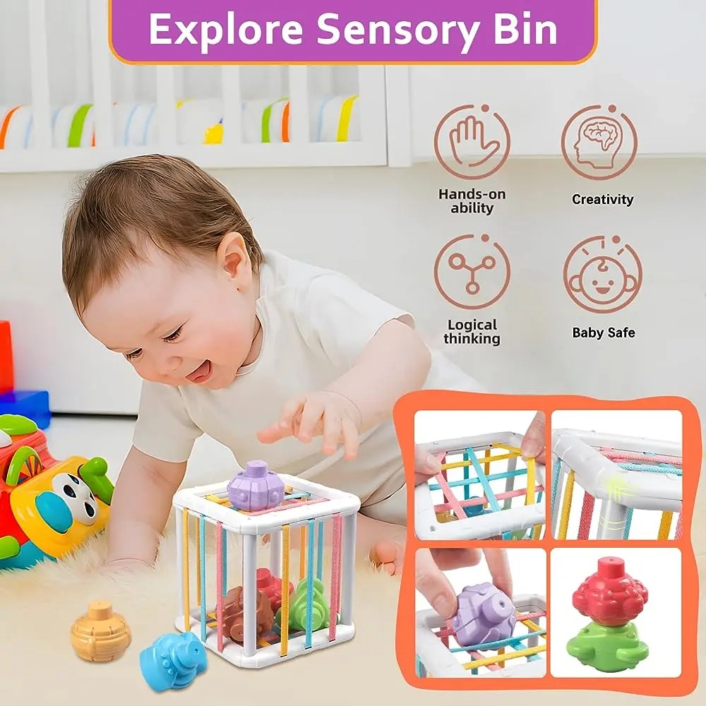 Rainbow Colorful Montessori Sh - Kid Educational 评论和价格