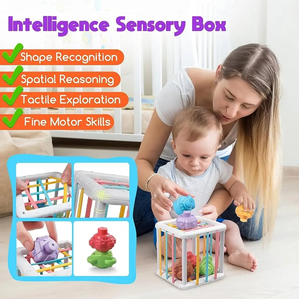 Rainbow Colorful Montessori Sh - Kid Educational 评论和价格