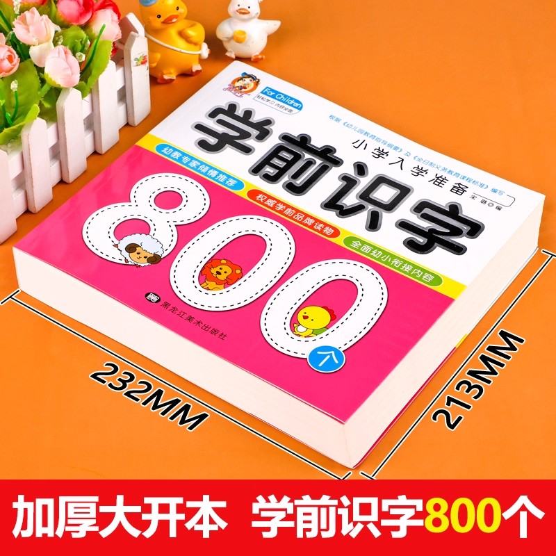 Preschool Literacy: 800 Chines - Kids Early Education 评论和价格