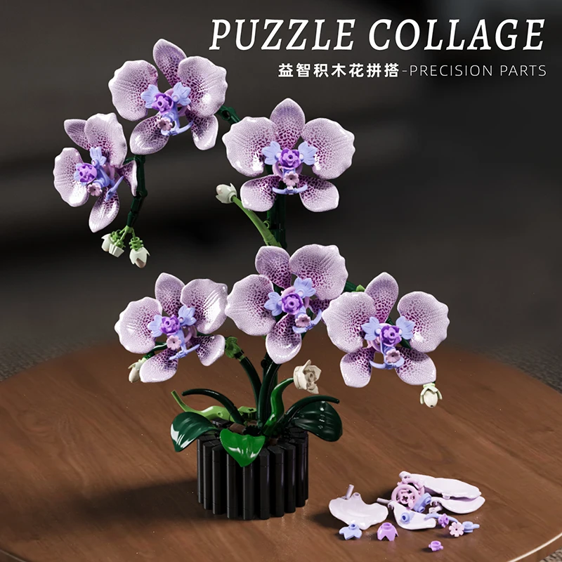 Orchid Potted Plants Simulatio - Orchid Kids Education 评论和价格