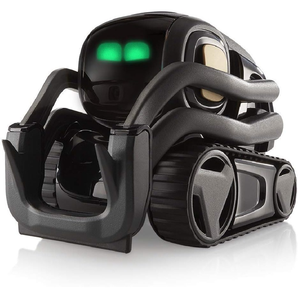 AI ChatGPT 2.0 Connected Robot - Kid Educational 评论和价格