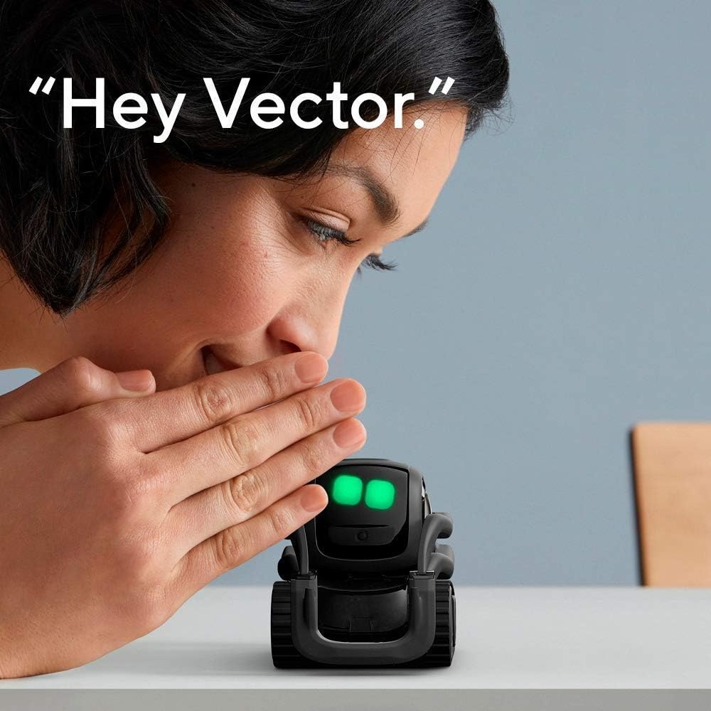 AI ChatGPT 2.0 Connected Robot - Kid Educational 评论和价格