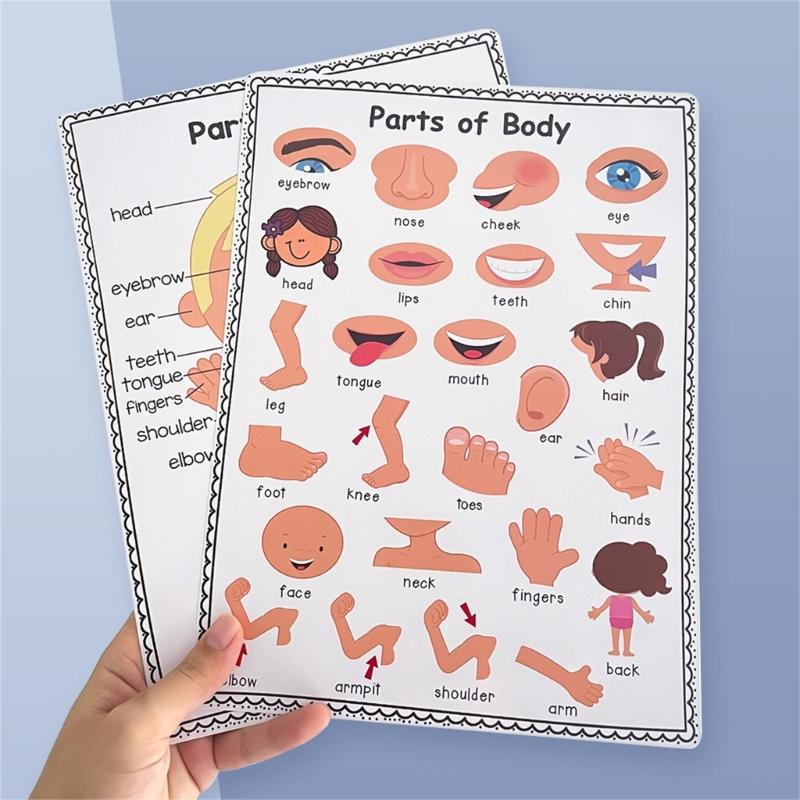 Colorful Educational Poster Te - Kids Educational Posters 评论和价格