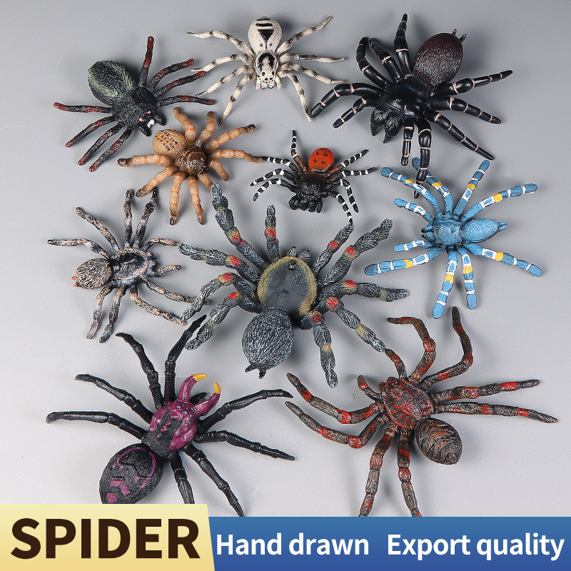 Educational Insect Spider Toys - Kids Education Learn Tv 评论和价格