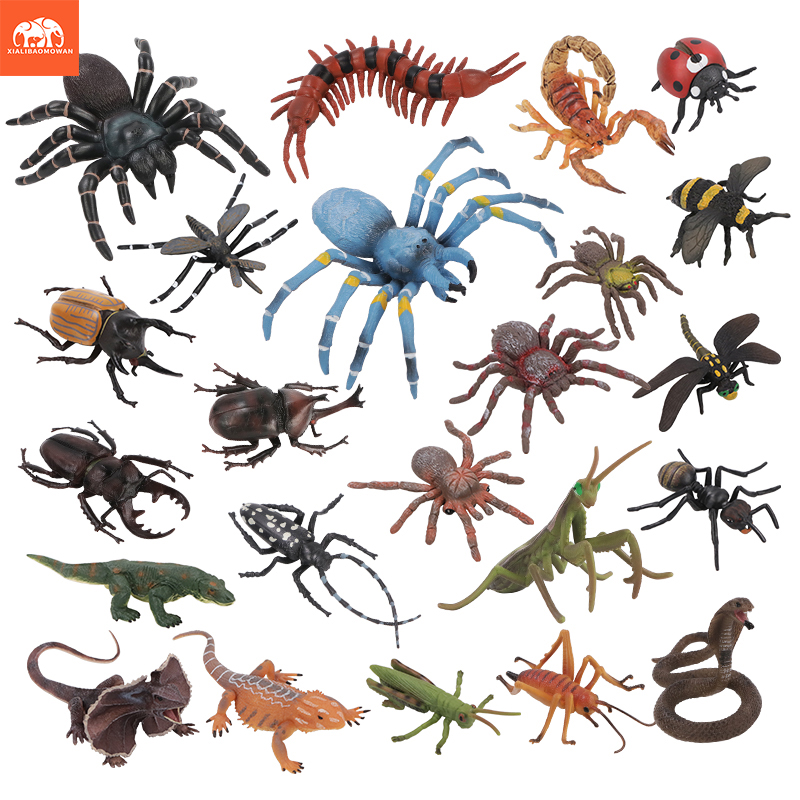 Educational Simulation Insect  - Kids Education Movies 评论和价格