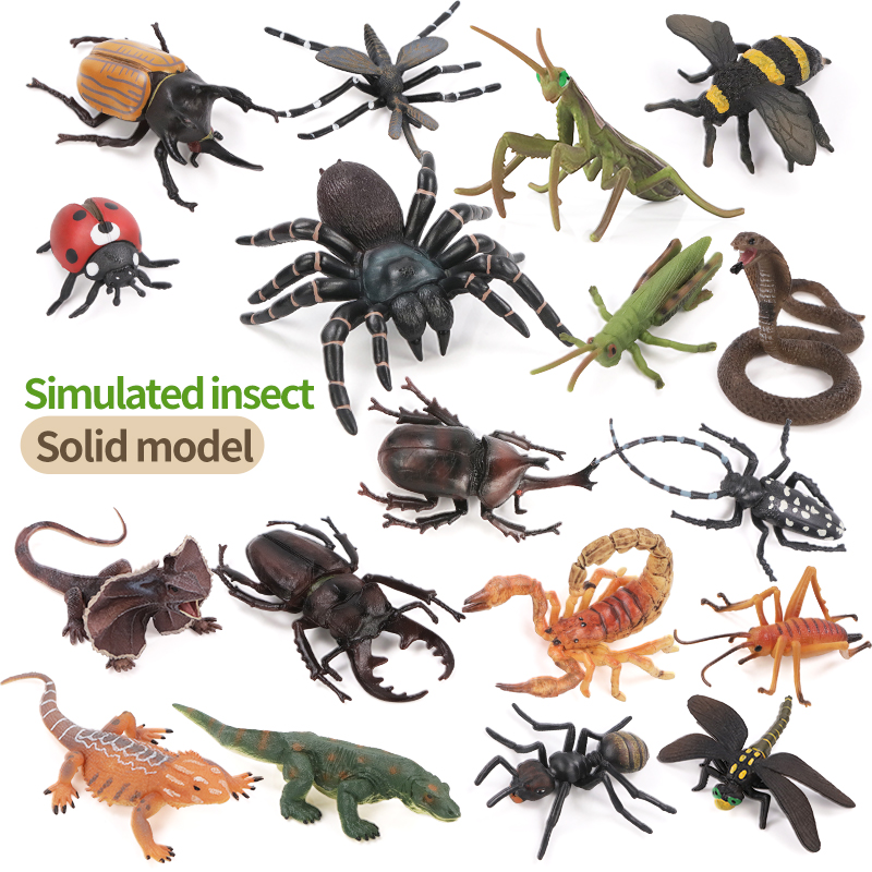 Educational Simulation Insect  - Kids Education Movies 评论和价格