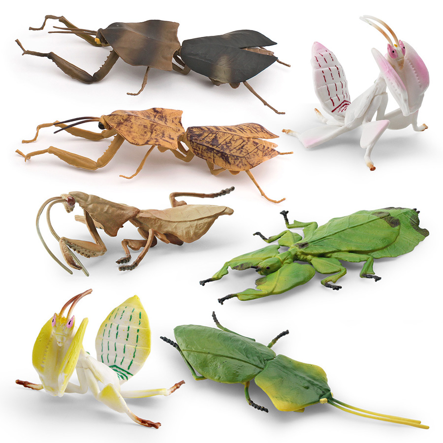 Realistic Orchid Mantis Dead L - Orchid Kids Education 评论和价格