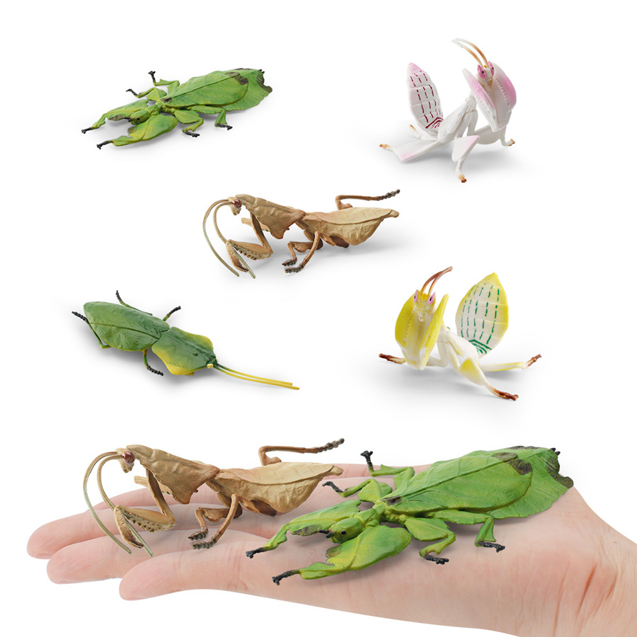 Realistic Orchid Mantis Dead L - Orchid Kids Education 评论和价格